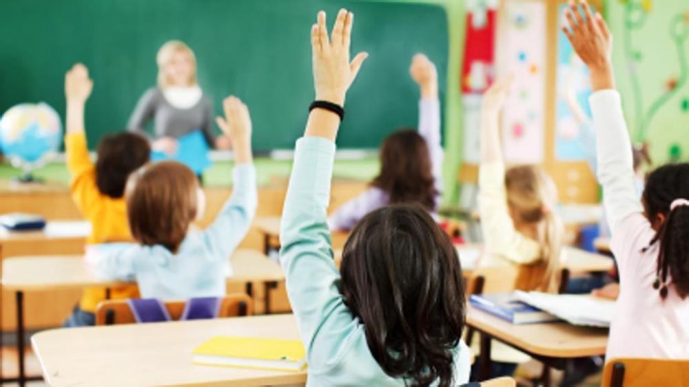 formazione docenti minoprio viva