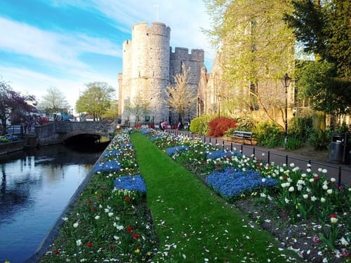 canterbury soggiorno studio viva