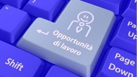 work experience all'estero