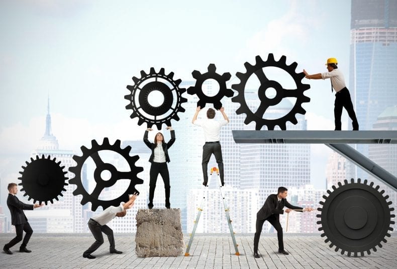 esperienza di lavoro internship viva