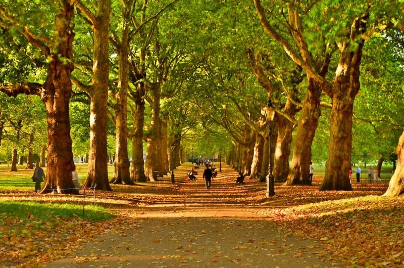 green park london VIVA
