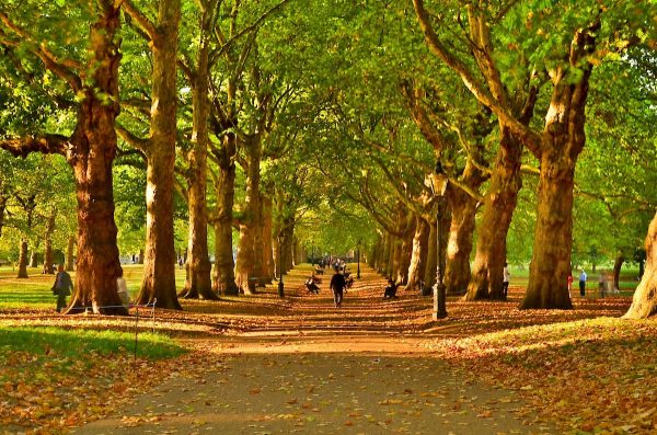 vacanze studio in Inghilterra escursione a Londra
