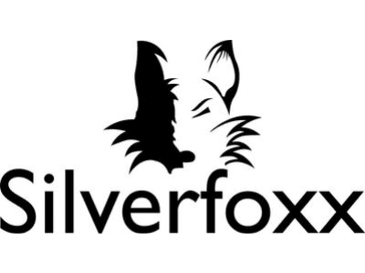 silverfoxx-formazione-vivalingue silverfoxx formazione vivalingue
