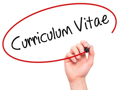 corsi di lingue viaggio studio per trovare lavoro VIVA