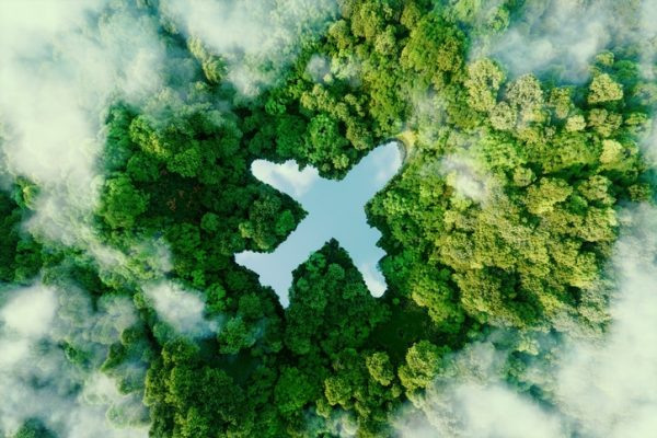 sagoma-aereo-in-mezzo-alla-foresta-verde.