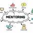 mentoring-tra-insegnanti-schema