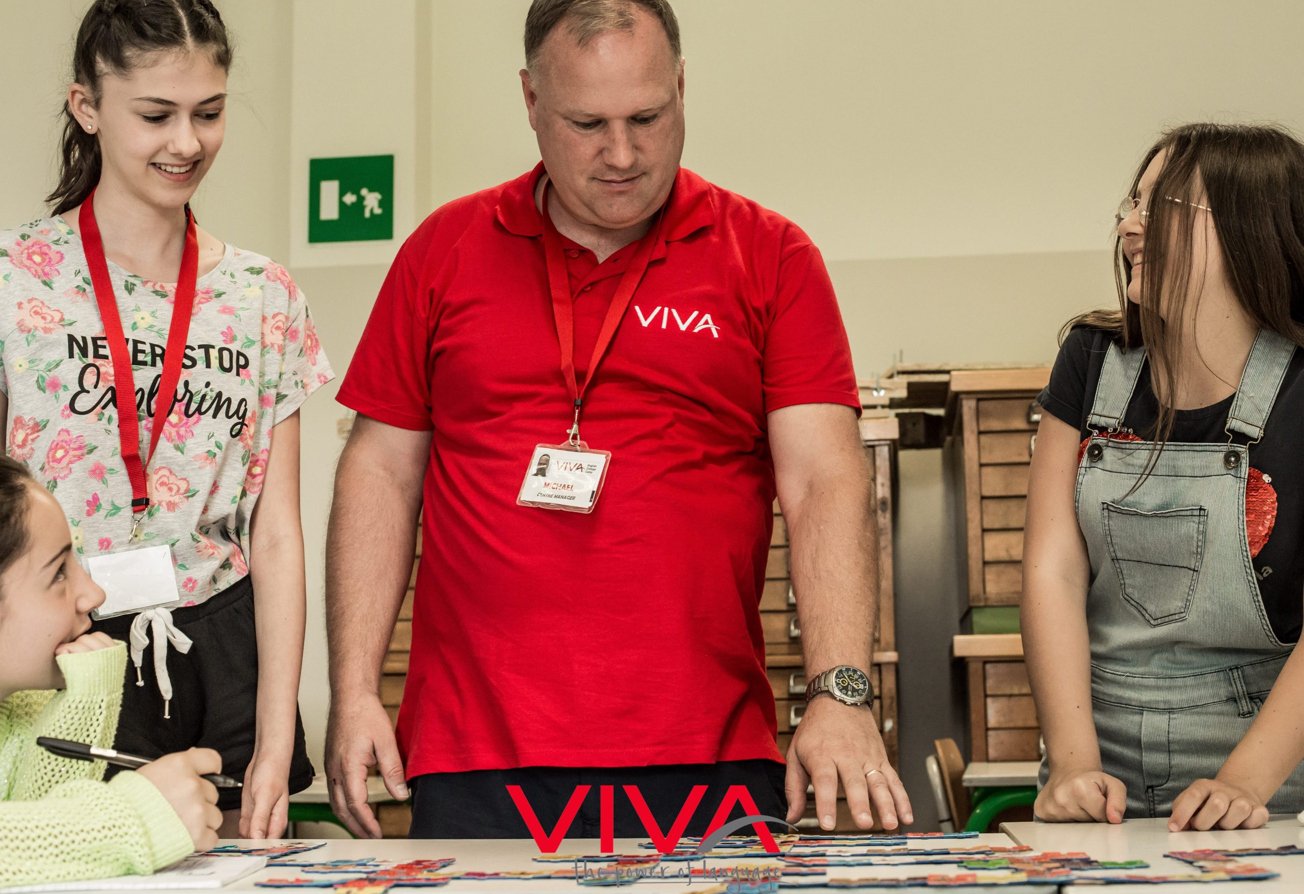 metodologie d'insegnamento michael viva