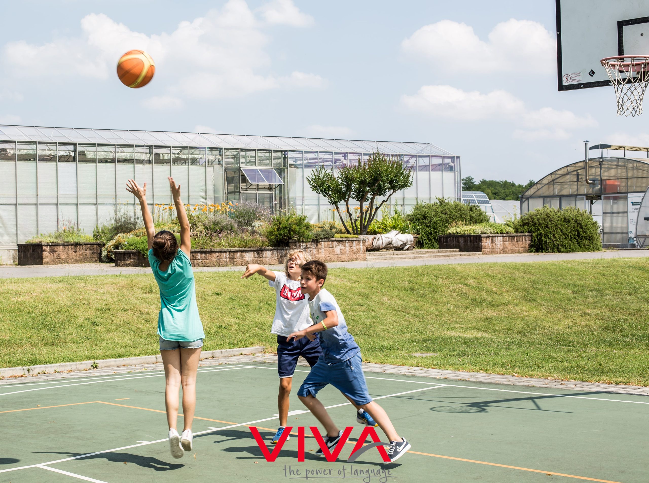 college camp sport viva