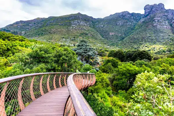 cape-town-montagna-giardini-e-vegetazione-vitta.