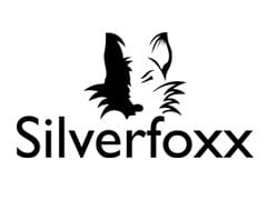 metodologie d'insegnamento silverfoxx viva