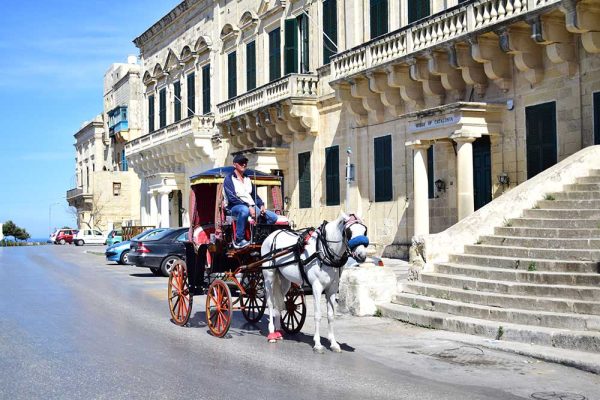 viaggio studio a malta