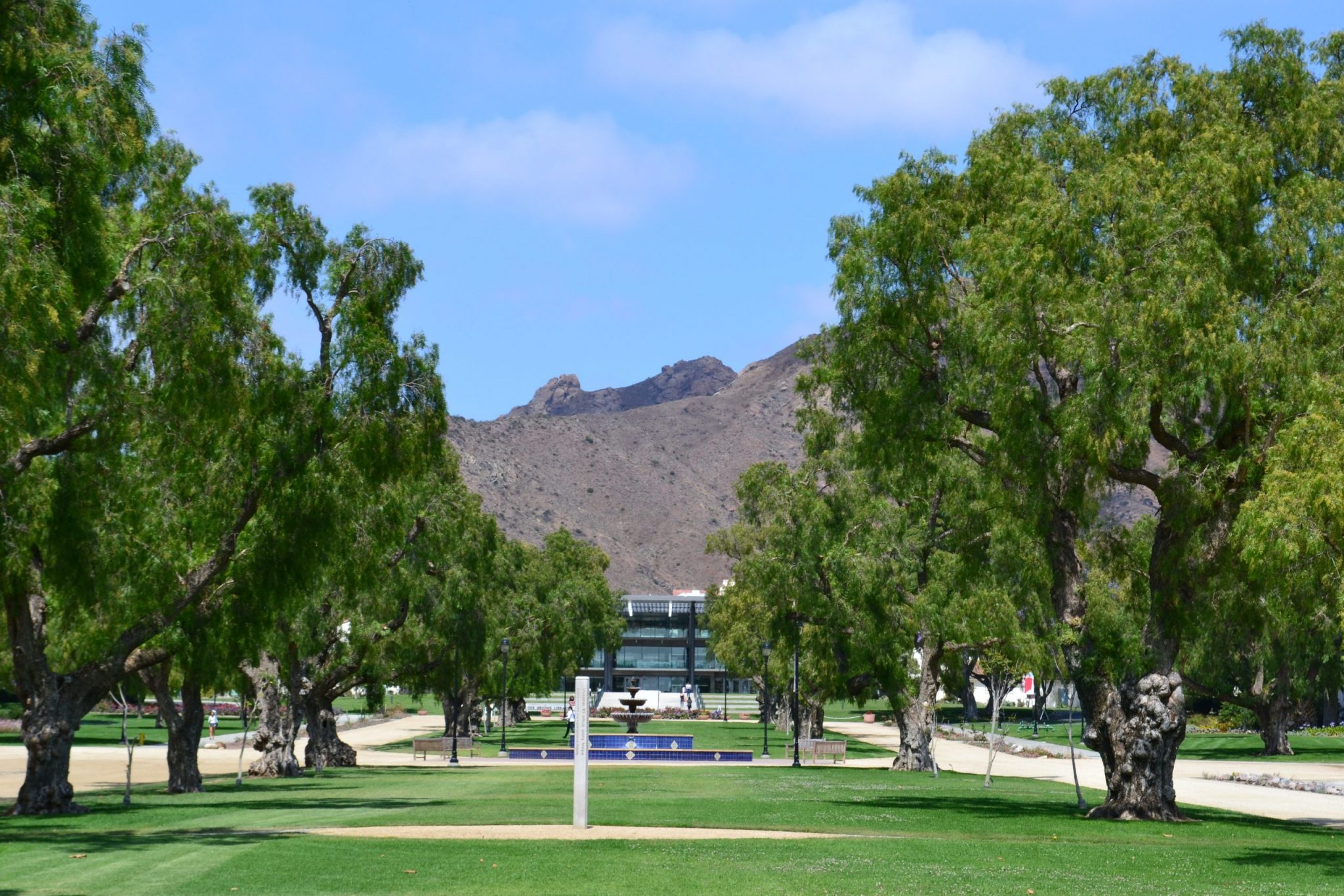 los-angeles-usa-vacanze-studio-con-accompagnatore-5-scaled