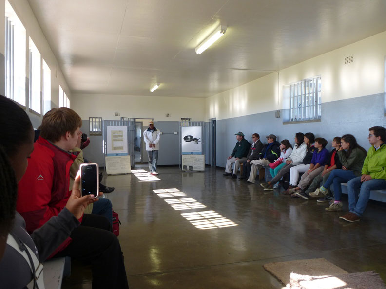 vacanze-con-accompagnatore-sudafrica-cape-town-viva-8